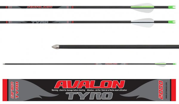 Avalon Carbon Tyro 4.2 Pfeile