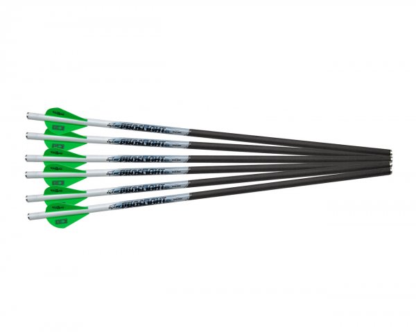 Excalibur ProFlight Carbon Pfeile 6er Pack