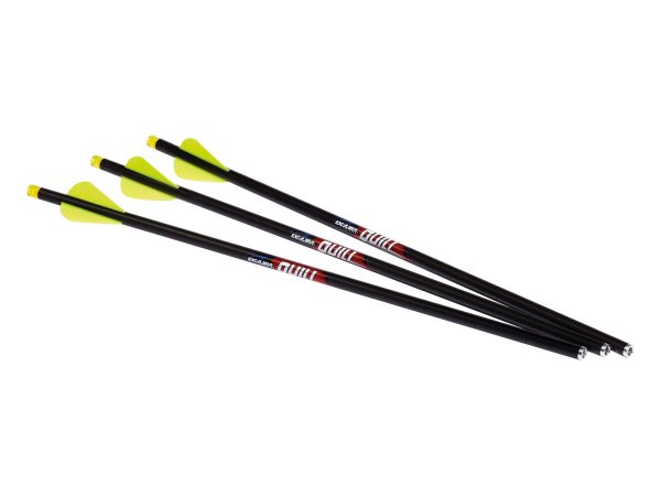 Excalibur Quill Bolzen 16,5 Zoll mit beleuchteter Nocke 3er Pack