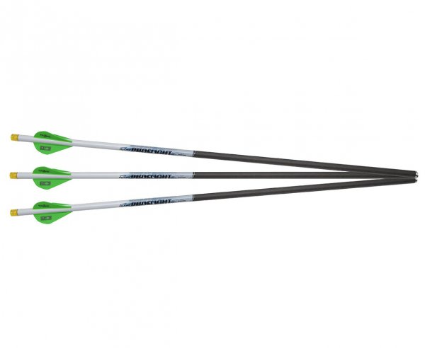 Excalibur ProFlight Carbon Pfeile mit leuchtendem Nocken 3er Pack