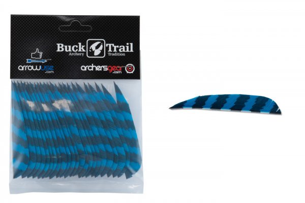 Buck Trail Naturfedern - 24 Stück - Gestreift - Blau
