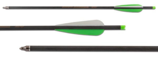 Maximal Archery Maxonia Carbon Bolzen